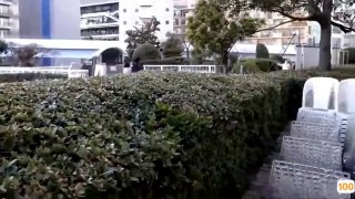 REXD-489 私…急いだ事を後悔しています。